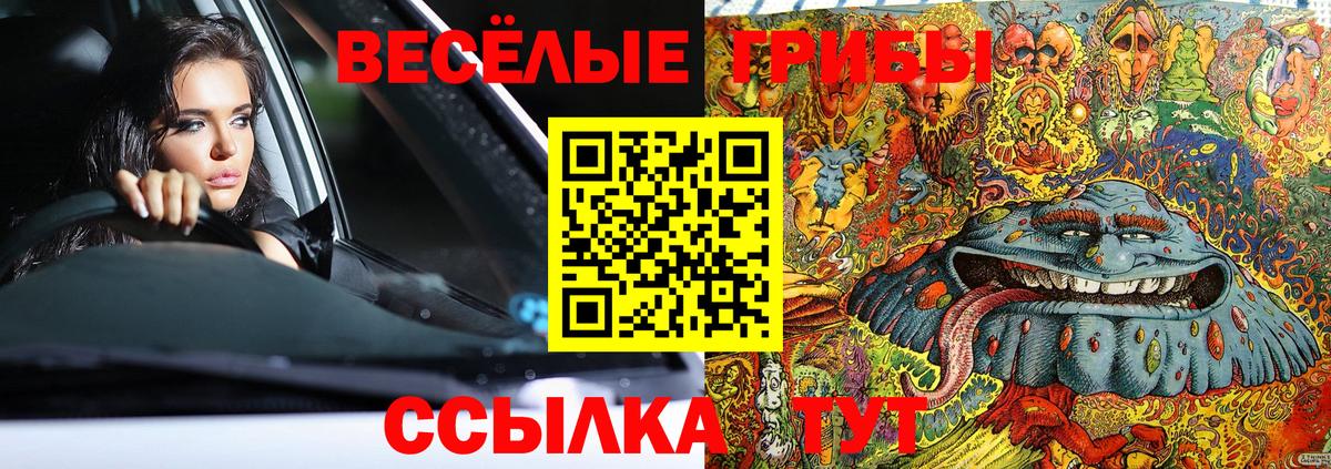 цена   Псилоцибиновые грибы Cubensis  Вход с VPN  Нижнеудинск 