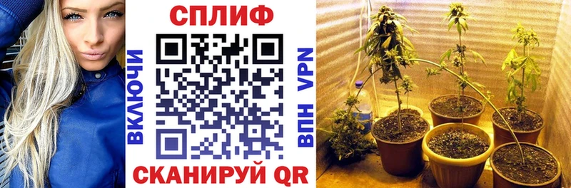 МАРИХУАНА конопля  магазин продажи   ОМГ ОМГ tor  Нижнеудинск 